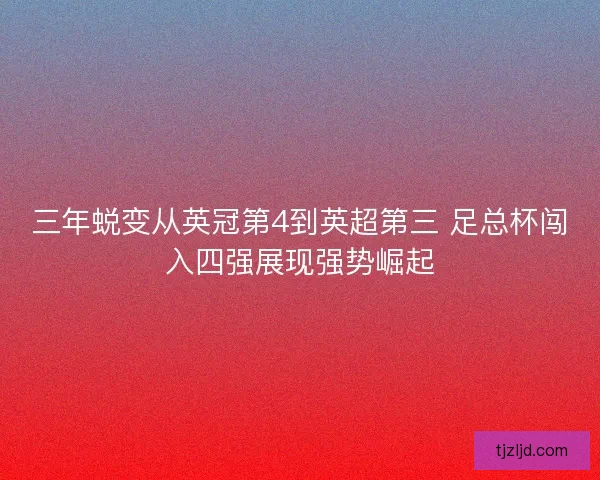 三年蜕变从英冠第4到英超第三 足总杯闯入四强展现强势崛起